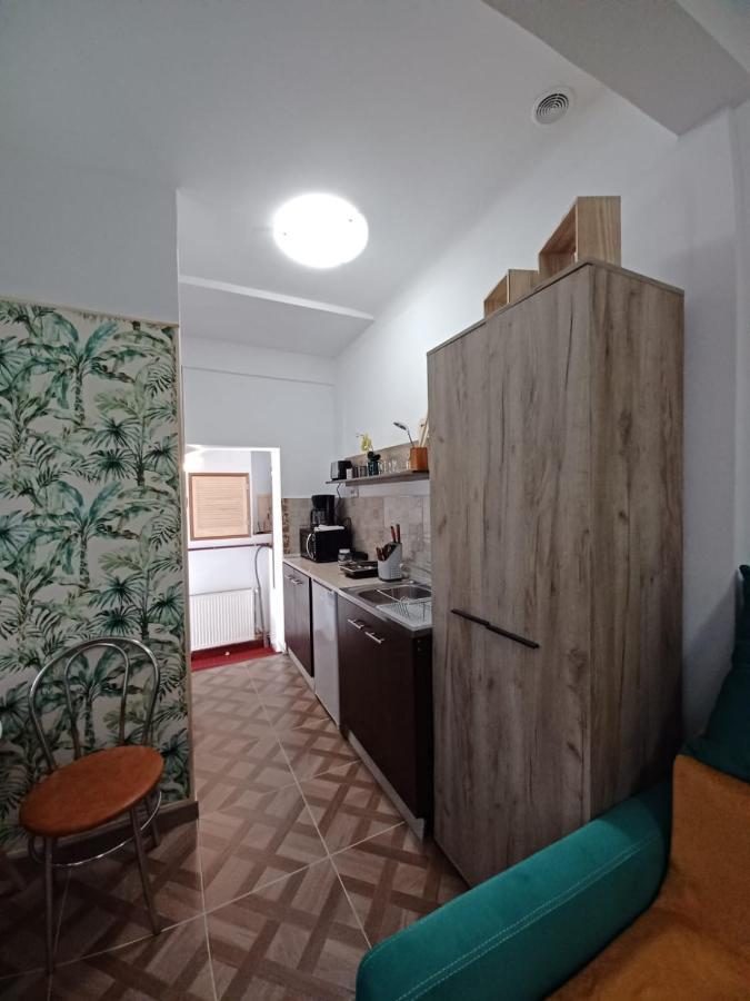 Studio Republicii Apartament *