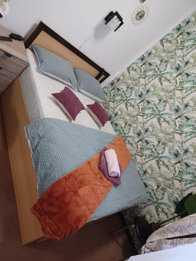 Studio Republicii Apartament